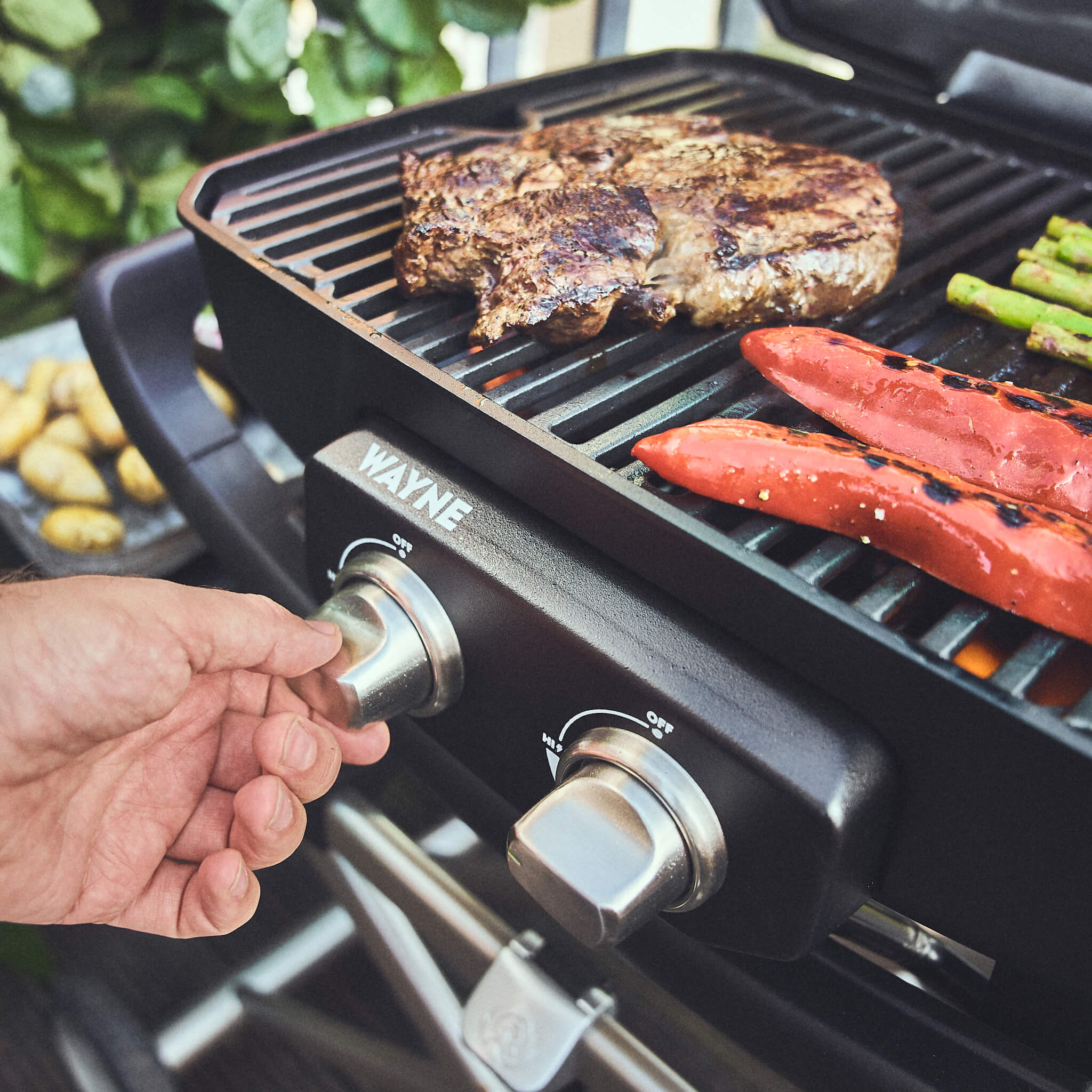 Image 63164168634749 Image 63164168634749