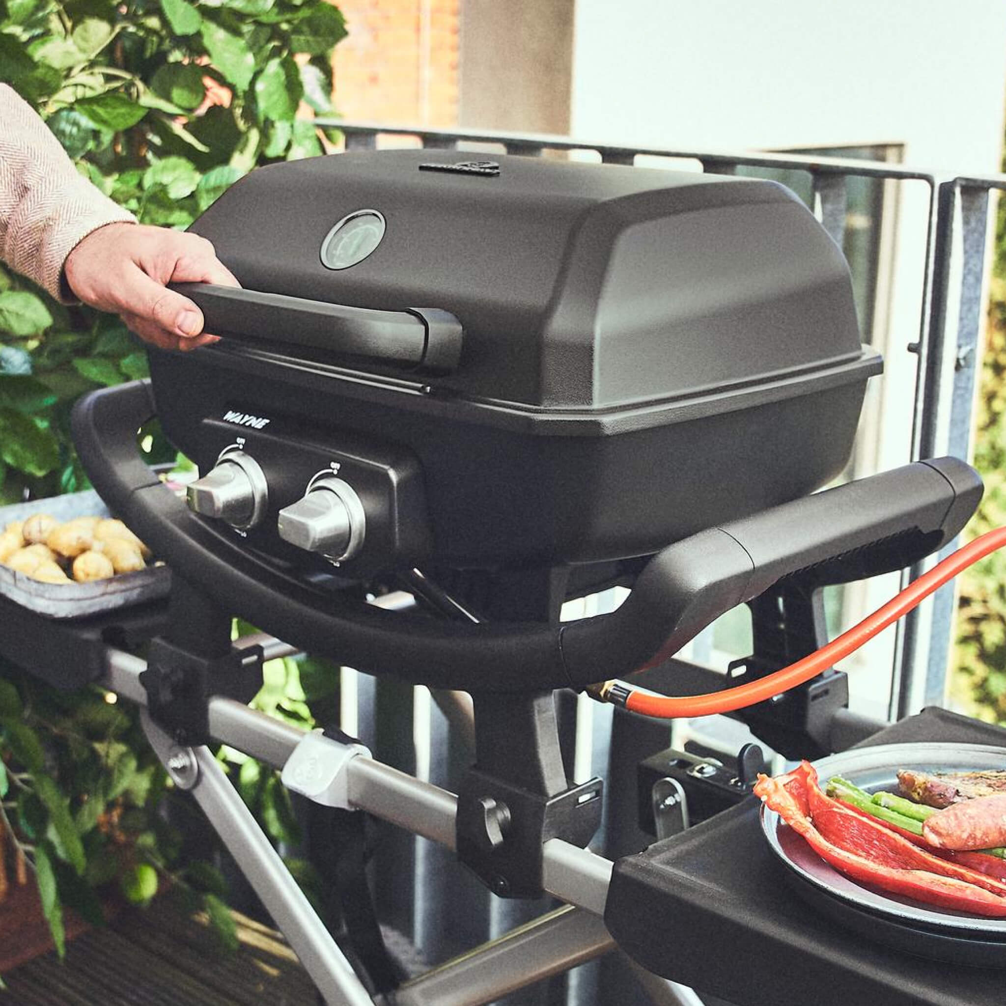 Image 63164178923901 Image 63164178923901