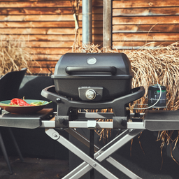 WAYNE balkonbarbecue 1-pits incl. trolley