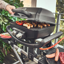 WAYNE draagbare balkongrill met 2 branders inclusief trolley